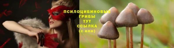 mdpv Абаза