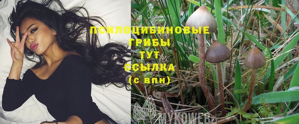 кокаин премиум Липки