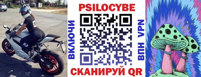Галлюциногенные грибы Psilocybe  Ярославль 