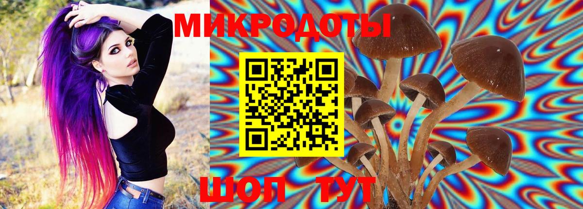 ГАШ Ярославль