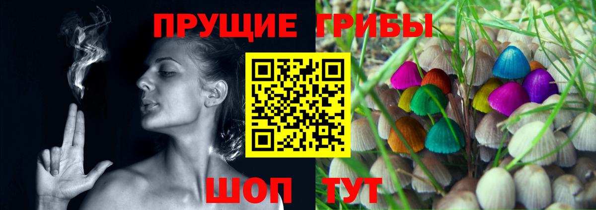 Псилоцибиновые грибы прущие грибы Ярославль